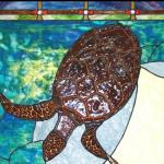 HAWKSBILL detail