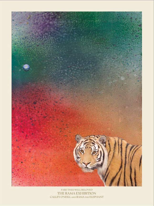Fare Thee Well Beloved - Amur Tiger