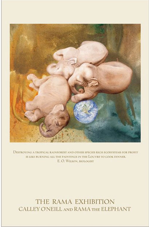 "Destroying a tropical rainforest and other species rich ecosystems for profit ls like burning all the paintings in the Louvre to cook dinner."  E. O. Wilson, Biologist