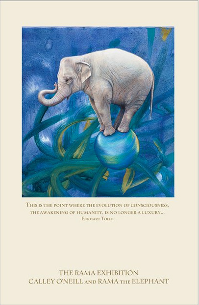 "This is the point where the evolution of consciousness, the awakening of humanity, is no longer a luxury."  Eckhart Tolle