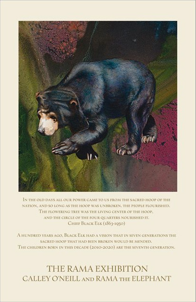 Sun Bear, 11x17" - $25